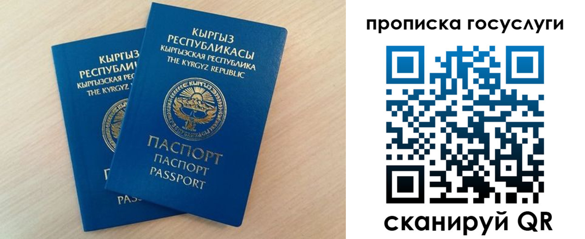 временная регистрация 2025 в Фрязино